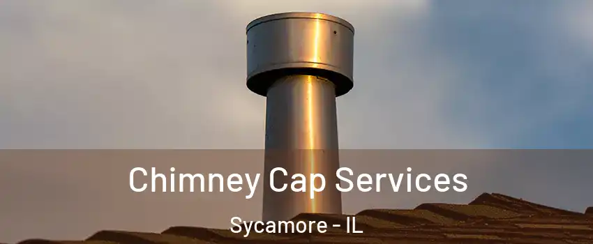  Chimney Cap Services Sycamore - IL