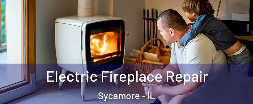 Electric Fireplace Repair Sycamore - IL