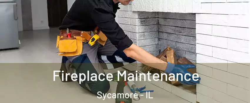  Fireplace Maintenance Sycamore - IL