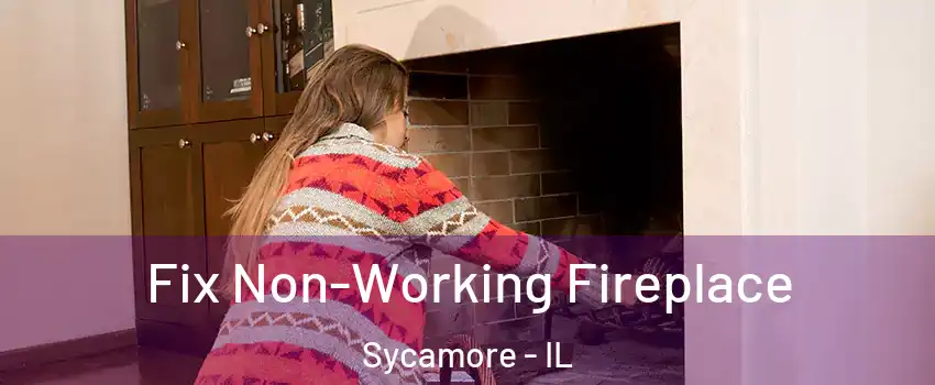  Fix Non-Working Fireplace Sycamore - IL