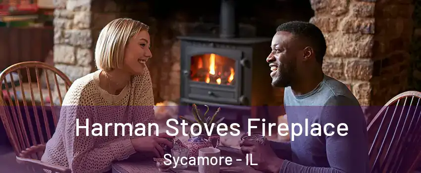  Harman Stoves Fireplace Sycamore - IL