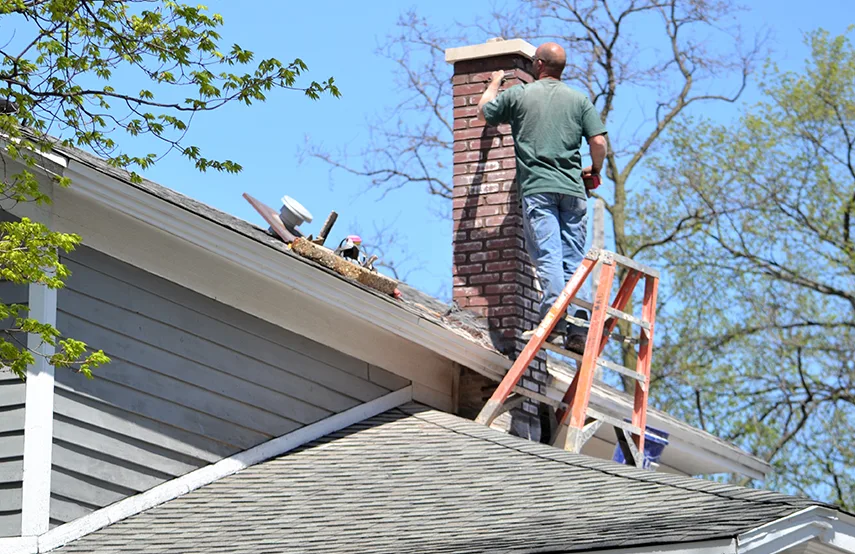 Chimney & Fireplace Inspections Services in Sycamore, IL