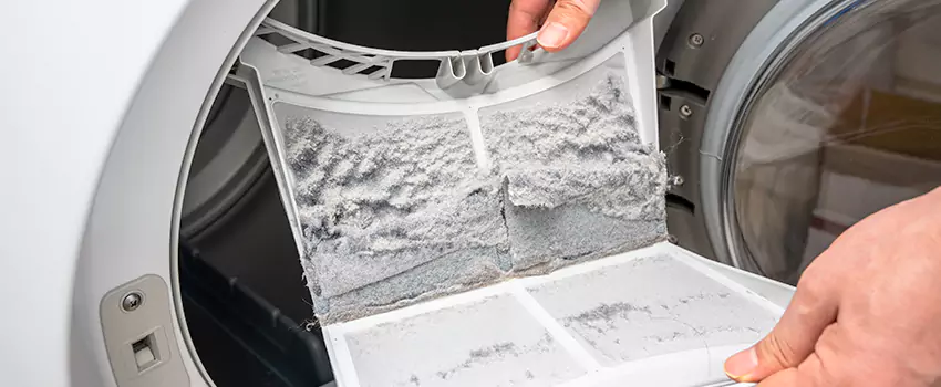 Best Dryer Lint Removal Company in Sycamore, Illinois