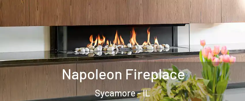  Napoleon Fireplace Sycamore - IL