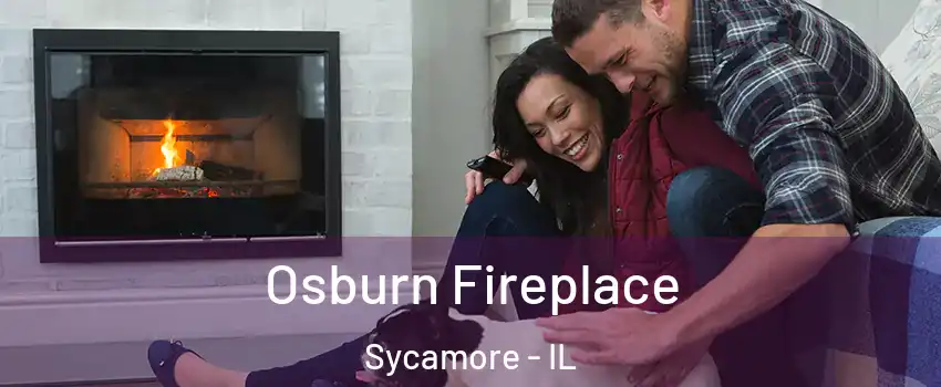  Osburn Fireplace Sycamore - IL